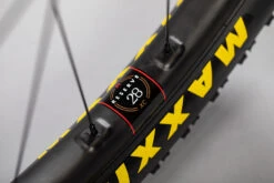 Santa Cruz Blur CC X01 AXS RSV -Angebote Rad Wonne Store MY22 blur details 016