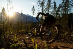 Shimano DEORE BR-M6100 Post-Mount G03S Bremssattel -Angebote Rad Wonne Store SLorencePhoto Deore 002t3WHd1CH3iK0K