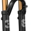 Fox Racing 36 Float 29" Factory E-Optimized Grip2