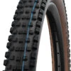 Schwalbe Wicked Will Evo Super Race 29x2,40" Addix SpeedGrip E-50 Faltreifen