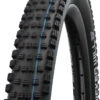 Schwalbe Wicked Will Performance Addix 29" E-50 Faltreifen