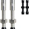 Tubeless Ventil-Set